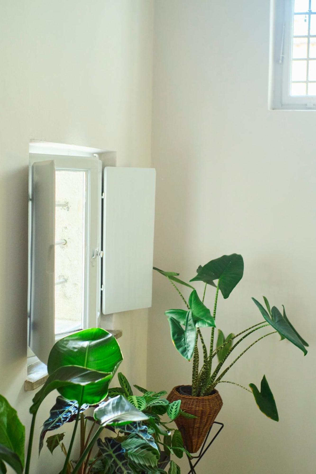 Zelda Apartamento Udine